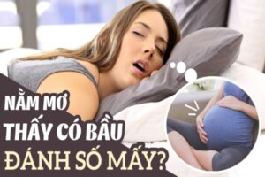 Nằm mơ thấy có bầu là điềm báo gì Đánh đề con gì